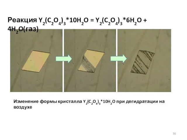 Изменение формы кристалла Y2(C2O4)3*10H2O при дегидратации на воздухе Реакция Y2(C2O4)3*10H2O = Y2(C2O4)3*6H2O + 4H2O(газ)