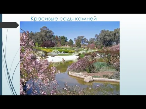 Красивые сады камней