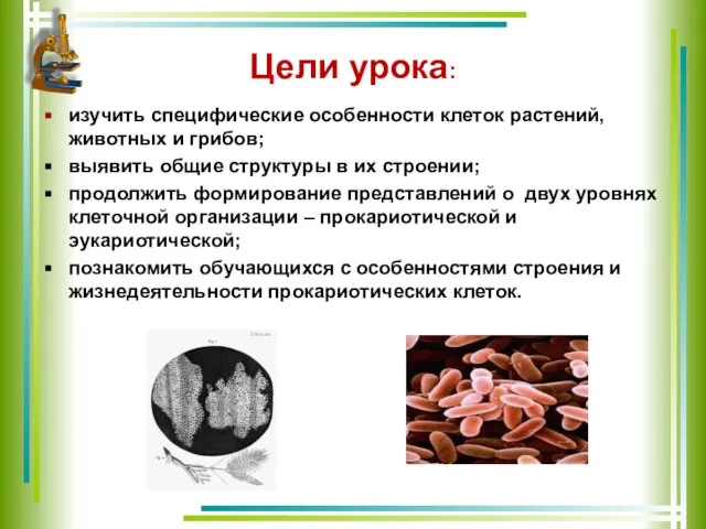 Цели урока: изучить специфические особенности клеток растений, животных и грибов; выявить общие