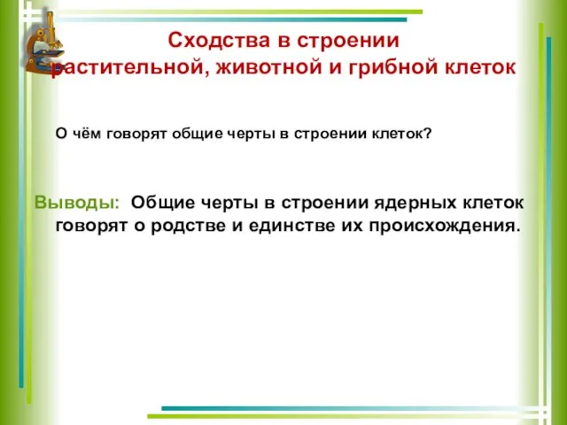 Сходства в строении растительной, животной и грибной клеток О чём говорят общие