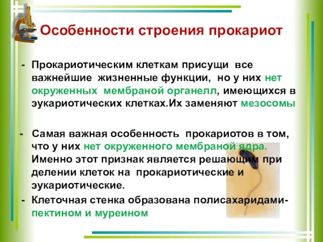 Особенности строения прокариот Прокариотическим клеткам присущи все важнейшие жизненные функции, но у