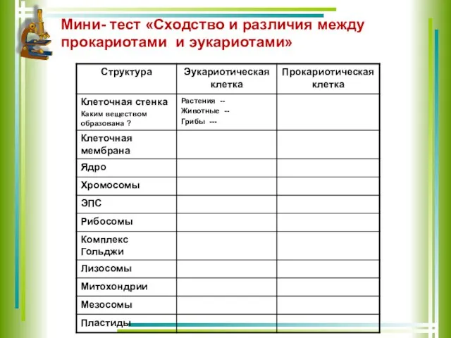 Мини- тест «Сходство и различия между прокариотами и эукариотами»