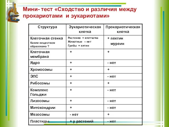 Мини- тест «Сходство и различия между прокариотами и эукариотами»