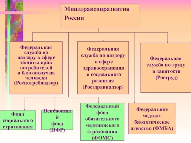 Федеральная служба по надзору в сфере защиты прав потребителей и благополучия человека