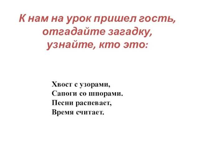 К нам на урок пришел гость, отгадайте загадку, узнайте, кто это: Хвост