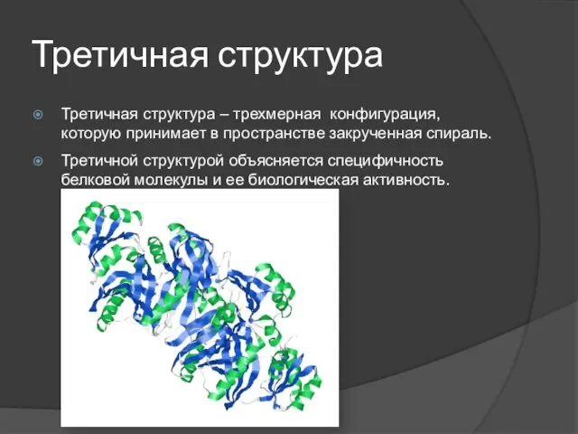 Третичная структура Третичная структура – трехмерная конфигурация, которую принимает в пространстве закрученная