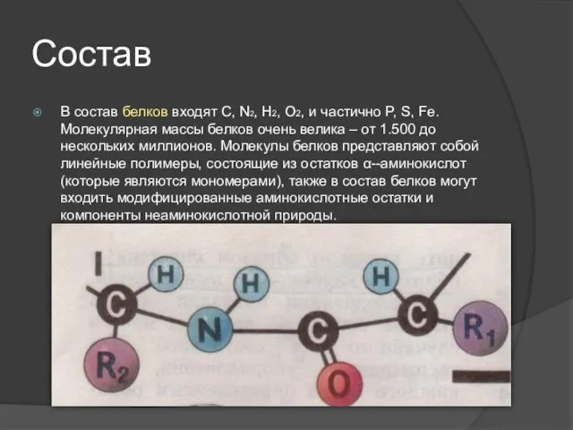 Состав В состав белков входят С, N2, H2, O2, и частично P,