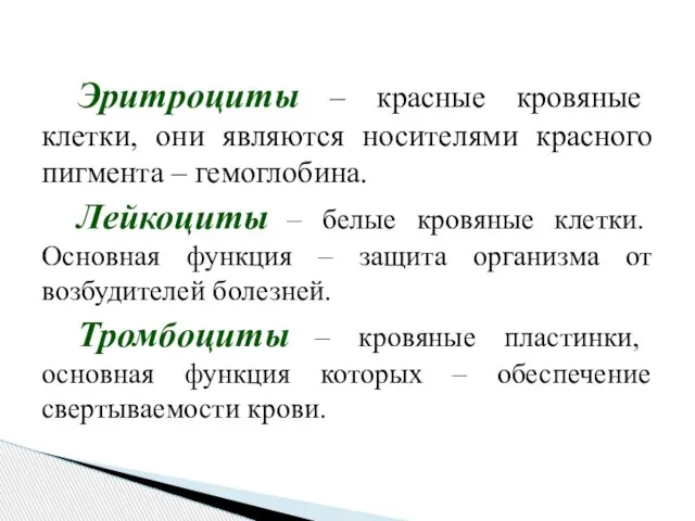 Эритроциты – красные кровяные клетки, они являются носителями красного пигмента – гемоглобина.