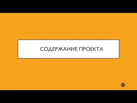 СОДЕРЖАНИЕ ПРОЕКТА