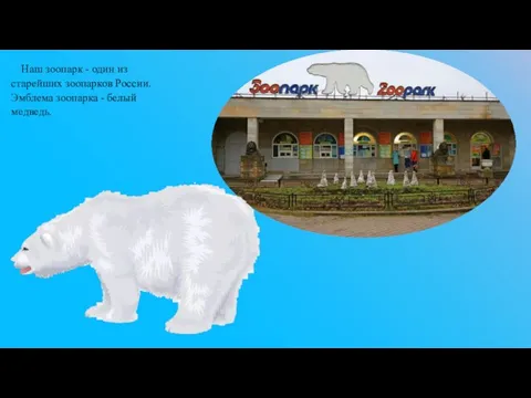 Наш зоопарк - один из старейших зоопарков России. Эмблема зоопарка - белый медведь.
