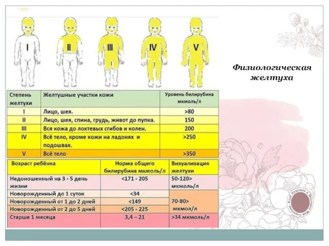 Физиологическая желтуха