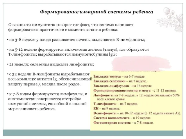 О важности иммунитета говорит тот факт, что система начинает формироваться практически с