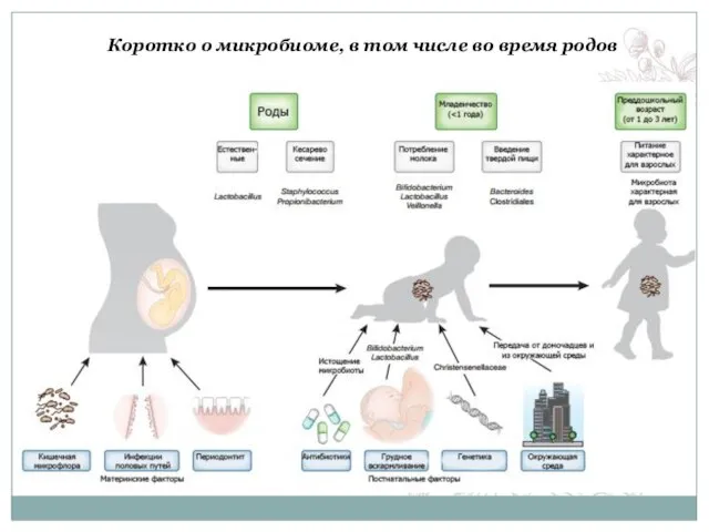 Коротко о микробиоме, в том числе во время родов