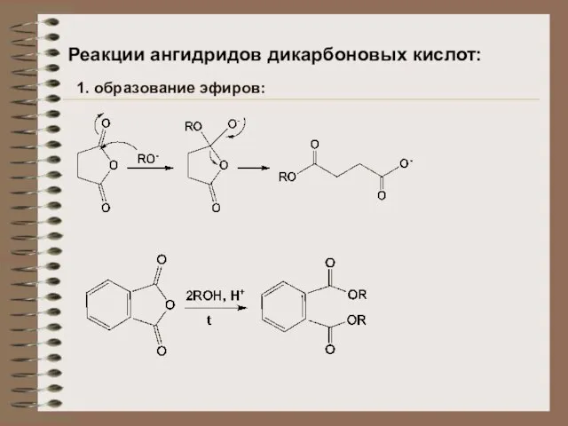 Реакции ангидридов дикарбоновых кислот: 1. образование эфиров: