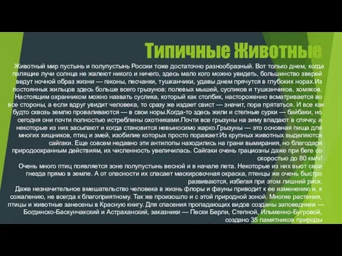 Типичные Животные Животный мир пустынь и полупустынь России тоже достаточно разнообразный. Вот