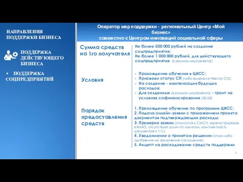 Условия НАПРАВЛЕНИЯ ПОДДЕРЖКИ БИЗНЕСА ПОДДЕРЖКА ДЕЙСТВУЮЩЕГО БИЗНЕСА ПОДДЕРЖКА СОЦПРЕДПРИЯТИЙ Оператор мер поддержки