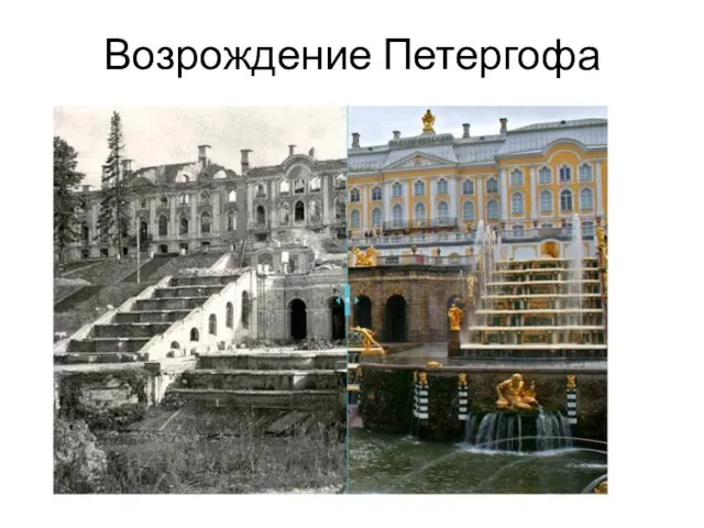 Возрождение Петергофа