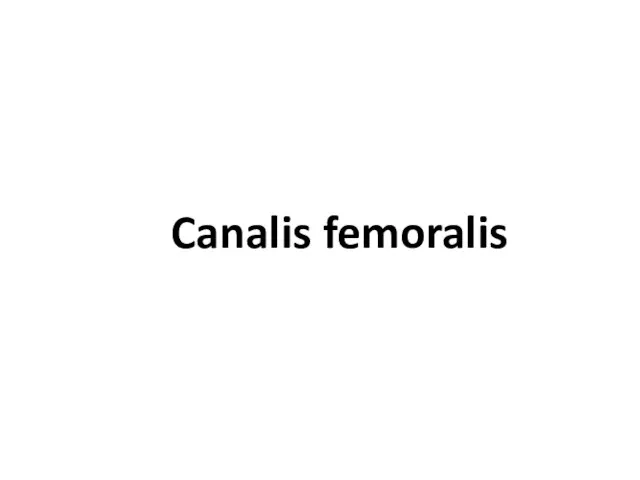 Canalis femoralis