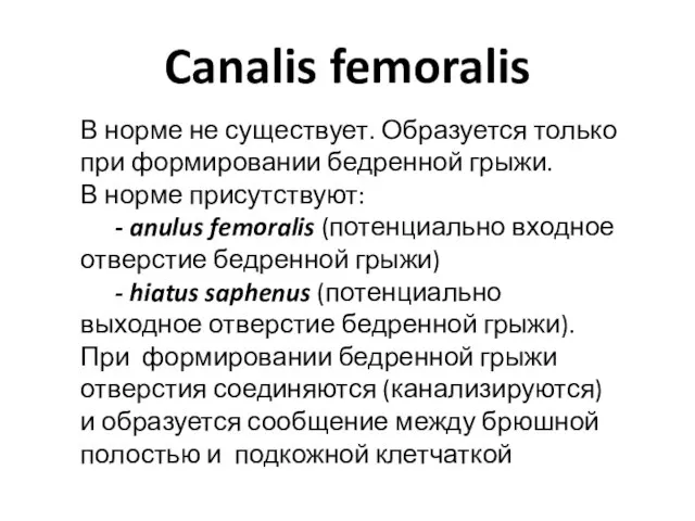 Canalis femoralis В норме не существует. Образуется только при формировании бедренной грыжи.