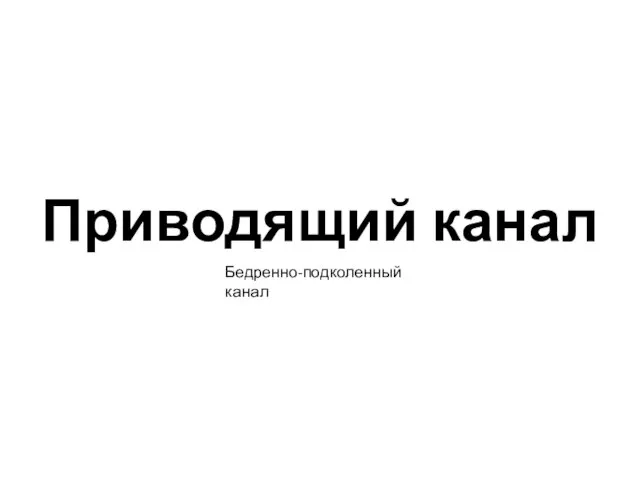 Приводящий канал Бедренно-подколенный канал