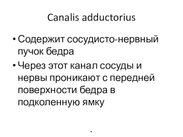 Canalis adductorius Содержит сосудисто-нервный пучок бедра Через этот канал сосуды и нервы