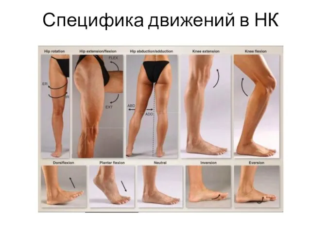 Специфика движений в НК