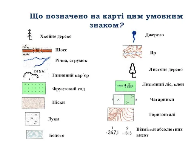 Що позначено на карті цим умовним знаком? Хвойне дерево Шосе Річка, струмок