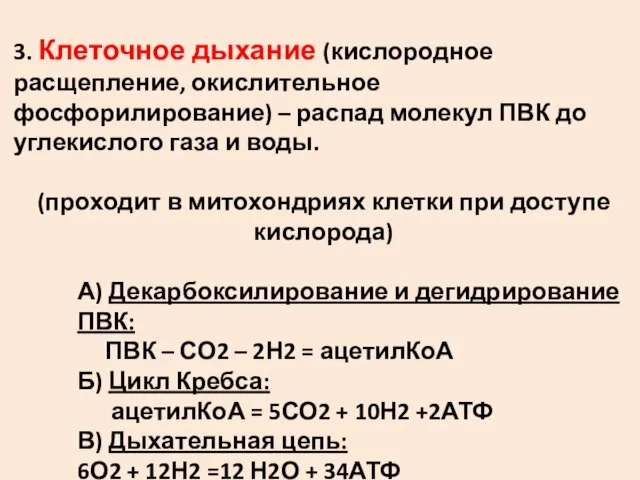 3. Клеточное дыхание (кислородное расщепление, окислительное фосфорилирование) – распад молекул ПВК до