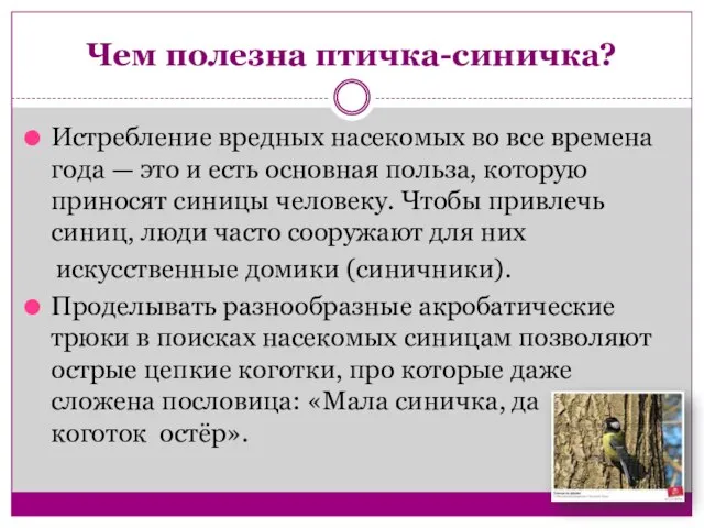 Чем полезна птичка-синичка? Истребление вредных насекомых во все времена года — это