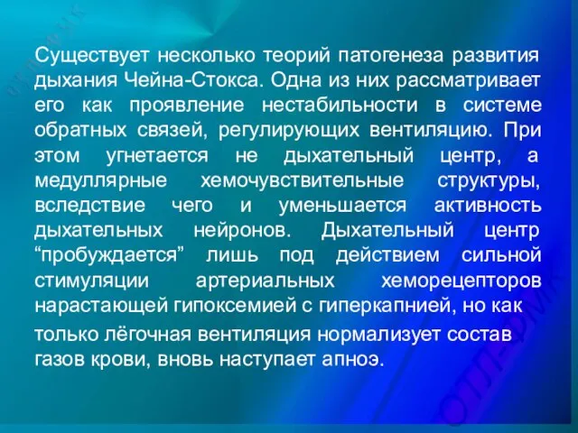 Существует несколько теорий патогенеза развития дыхания Чейна-Стокса. Одна из них рассматривает его