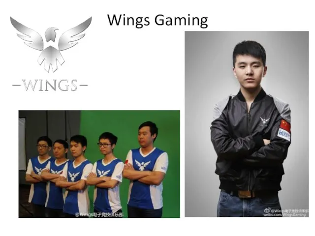 Wings Gaming