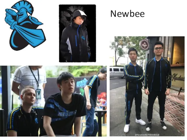 Newbee