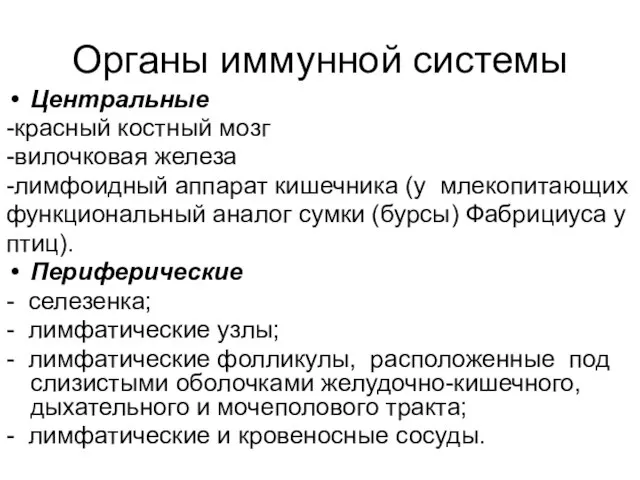 Органы иммунной системы Центральные -красный костный мозг -вилочковая железа -лимфоидный аппарат кишечника