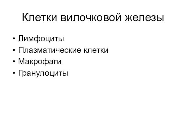 Клетки вилочковой железы Лимфоциты Плазматические клетки Макрофаги Гранулоциты