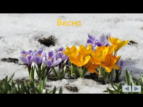 Весна