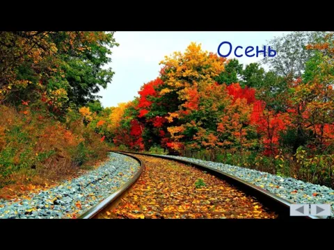 Осень