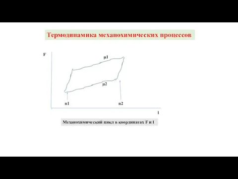 Термодинамика механохимических процессов F l μ1 μ2 n1 n2 Механохимический цикл в