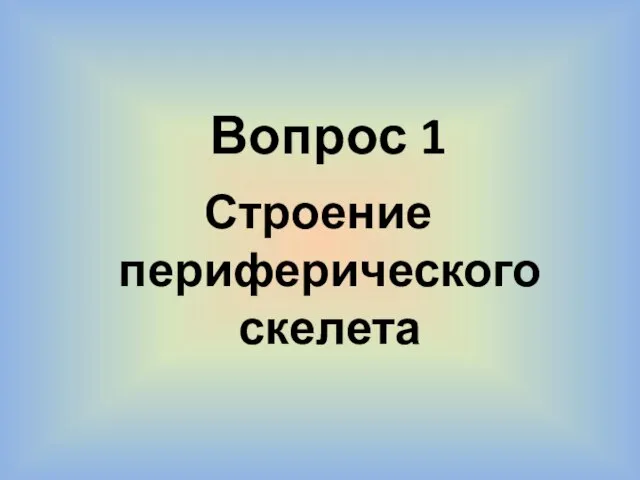 Вопрос 1 Строение периферического скелета