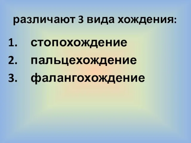 различают 3 вида хождения: стопохождение пальцехождение фалангохождение