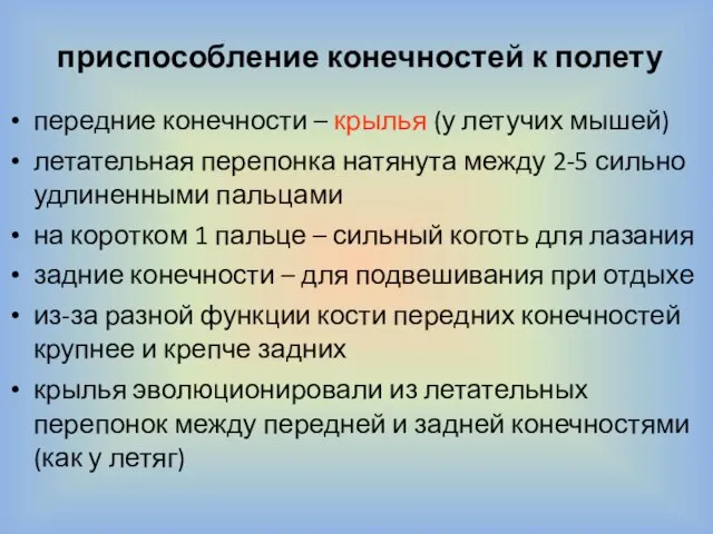 приспособление конечностей к полету передние конечности – крылья (у летучих мышей) летательная