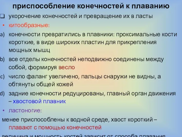 приспособление конечностей к плаванию укорочение конечностей и превращение их в ласты китообразные: