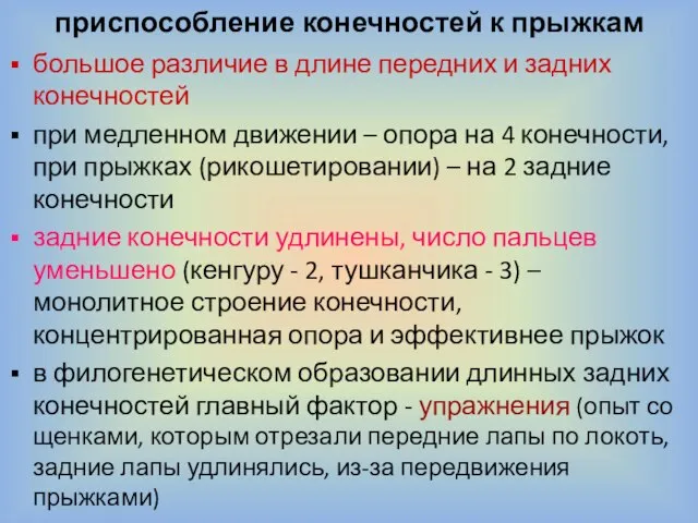 приспособление конечностей к прыжкам большое различие в длине передних и задних конечностей