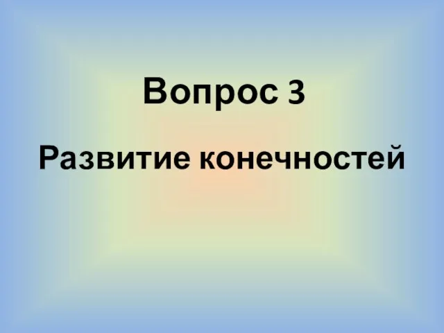 Вопрос 3 Развитие конечностей