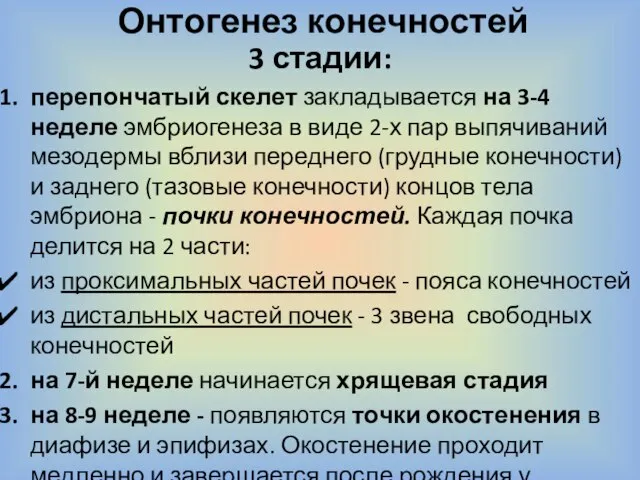 Онтогенез конечностей 3 стадии: перепончатый скелет закладывается на 3-4 неделе эмбриогенеза в