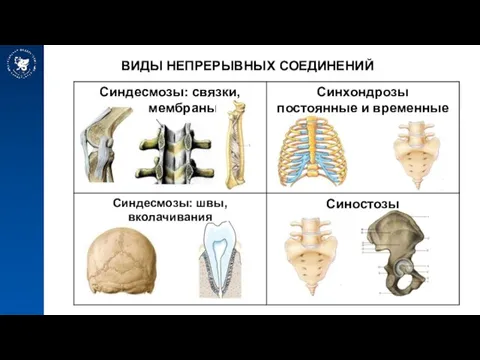 ВИДЫ НЕПРЕРЫВНЫХ СОЕДИНЕНИЙ