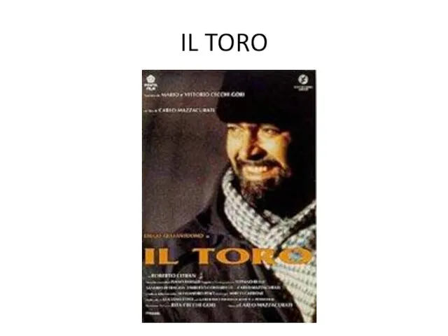 IL TORO