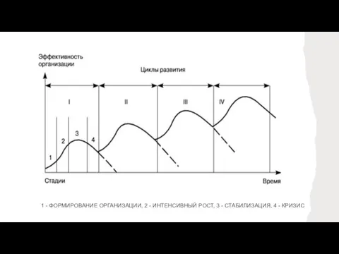 1 - ФОРМИРОВАНИЕ ОРГАНИЗАЦИИ, 2 - ИНТЕНСИВНЫЙ РОСТ, 3 - СТАБИЛИЗАЦИЯ, 4 - КРИЗИС