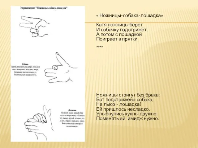 « Ножницы-собака-лошадка» Катя ножницы берёт И собачку подстрижёт, А потом с лошадкой