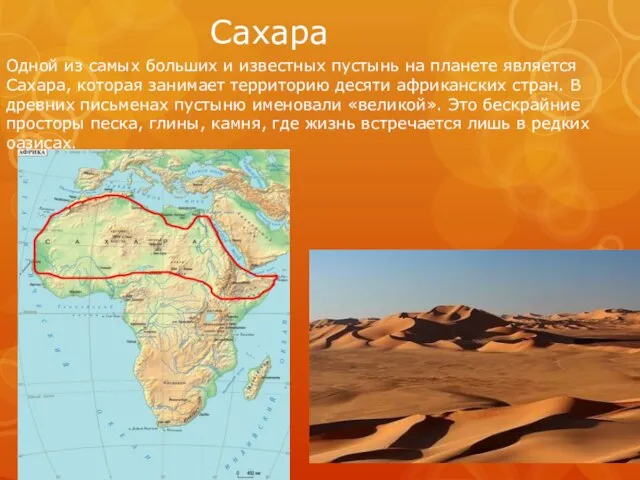 Сахара Одной из самых больших и известных пустынь на планете является Сахара,