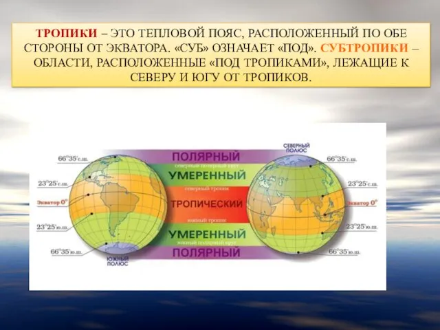 ТРОПИКИ – ЭТО ТЕПЛОВОЙ ПОЯС, РАСПОЛОЖЕННЫЙ ПО ОБЕ СТОРОНЫ ОТ ЭКВАТОРА. «СУБ»